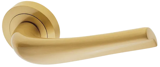 RAFT R2 OSA, ручка дверная, цвет - матовое золото фото купить Тюмень