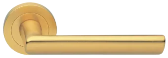 STELLA R2 OSA, ручка дверная, цвет - матовое золото