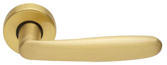 IMOLA R3-E OSA, ручка дверная, цвет - матовое золото