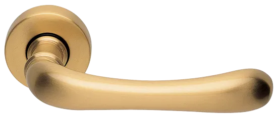 RING R3-E OSA, ручка дверная, цвет - матовое золото фото купить Тюмень