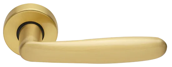 IMOLA R3-E OSA, ручка дверная, цвет - матовое золото фото купить Тюмень