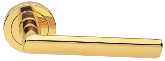 STELLA R2 OTL, ручка дверная, цвет - золото фото купить Тюмень
